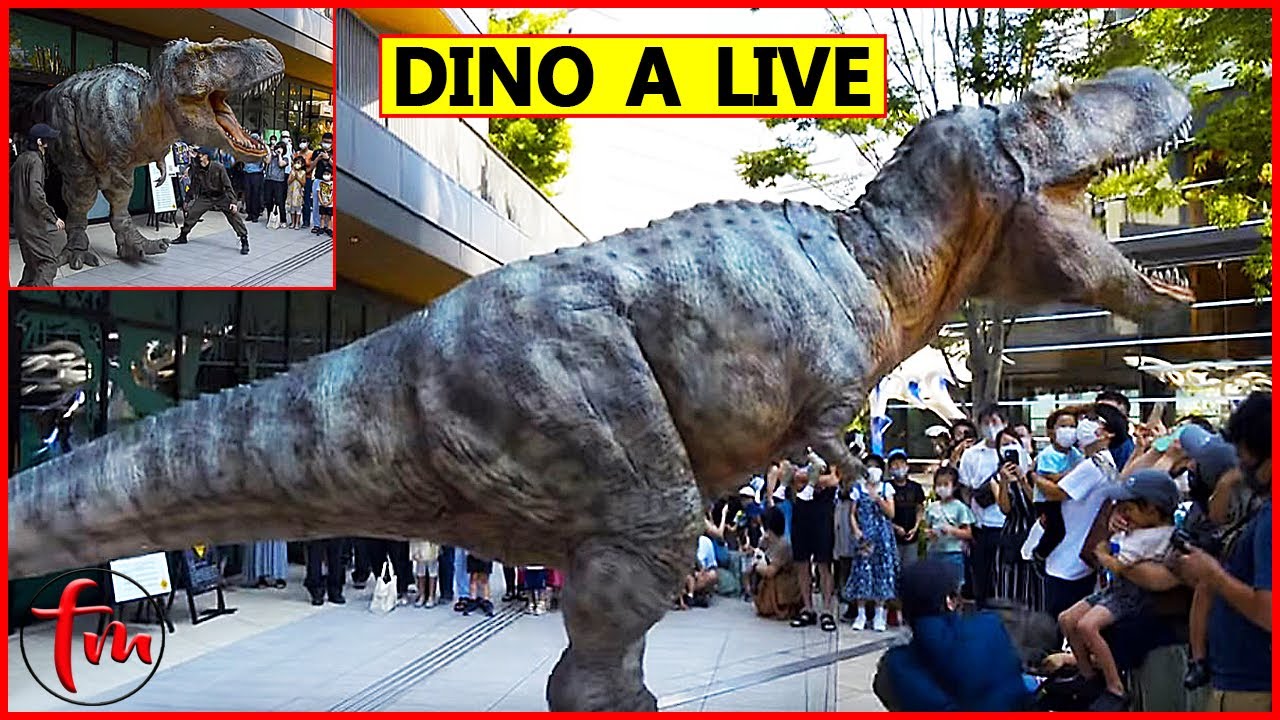 Real Dinosaur Attacks People