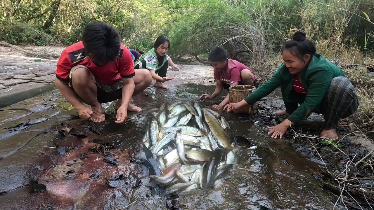 ຫາສະປາຕາມຫ້ວຍນ້ອຍໄດ້ປາຫລາຍຄັກ// หาสะปลา ตามอ่างหิน ได้ปลาเยอะเลย 22 มกราคม ค.ศ. 2024
