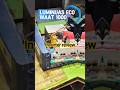 LUMINUAS Inverter review#shotsviral