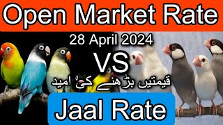 Birds price in karachi pakistan April 28, 2024 | Jaal rate update | Open market rate update by A 4 ali shah 5,115 views 3 weeks ago 11 minutes, 19 seconds