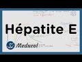 Hépatite E: symptômes, transmission, diagnotic et traitement