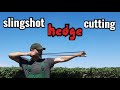 Slingshot hedge cutting shooting fun 