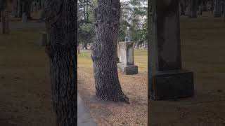 Why is Edmonton's Oldest Cemetery Forgotten on All Saints' Day