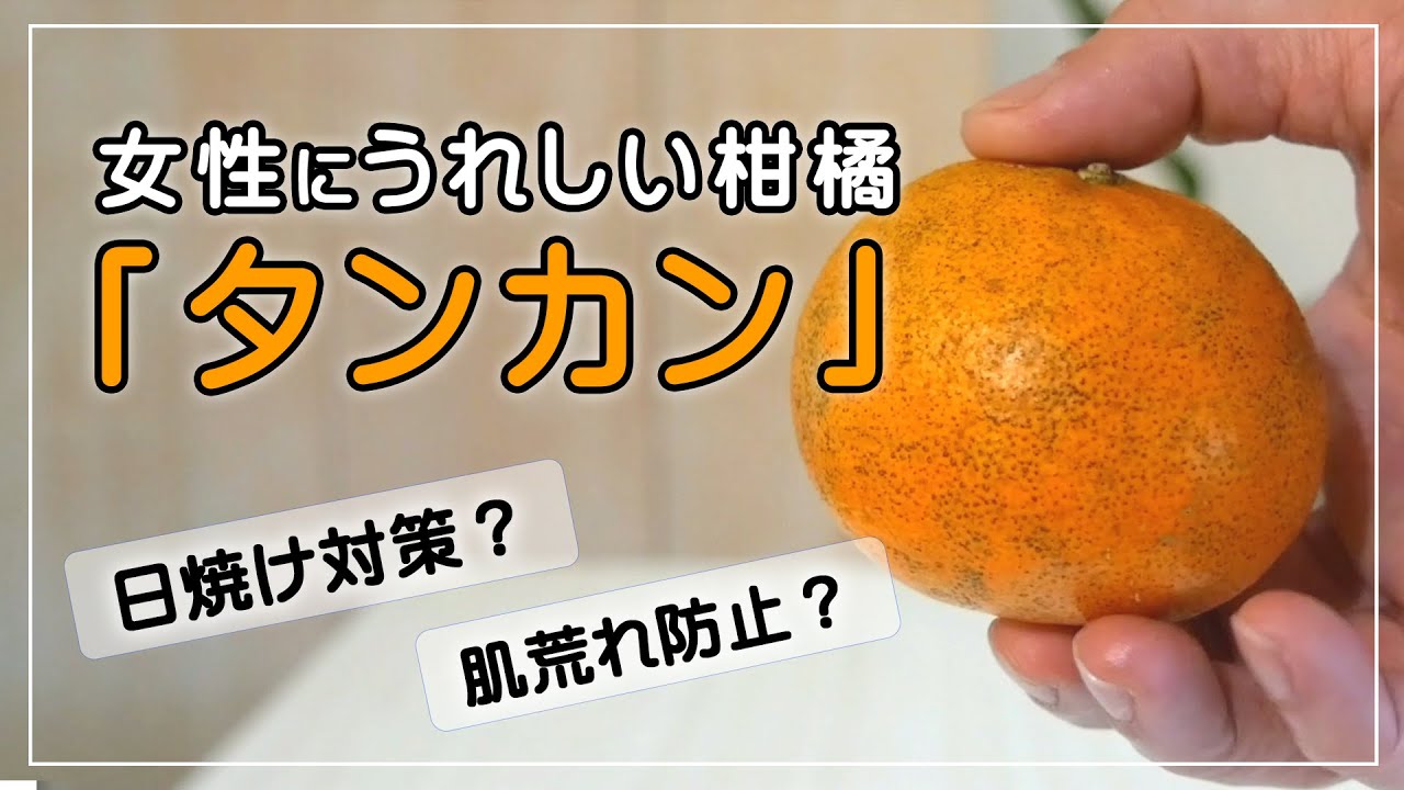 南国のみかん タンカン の味 旬の時期を紹介します Youtube