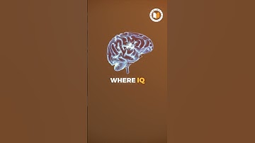 Charles Hoskinson Advice for Young People