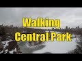 ⁴ᴷ Complete Walkthrough of Central Park, NYC during the Winter from South to North (59th - 110th St)