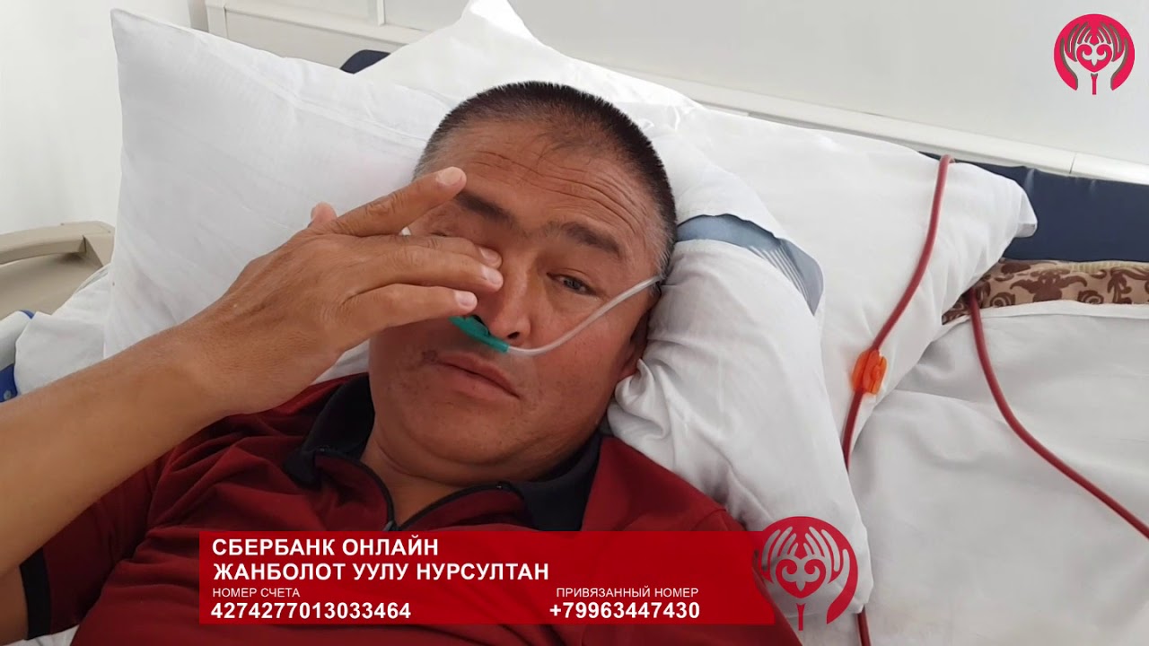 Вай бек машин
