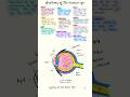 How the Human Eye 👁️ Works + Easy Eye Drawing ✏️ #biology #neet #science #cbse #10th