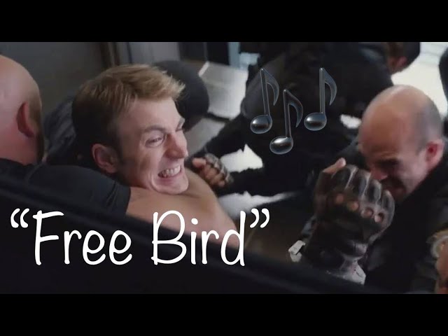 “Free Bird” fitting perfectly with fight scenes for 7 minutes straight class=