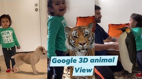 How to view Google 3D Animal | Google new feature | 3D Animal in your space | Beast Bees