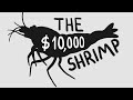 Rarity and Value of Freshwater Shrimp