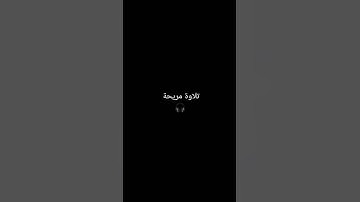 سورة المؤمنون || اسلام صبحي |#سورة_الفاتحة #اسلام_صبحي #قرآن #quotes #تلاوة#ترند #انستقرام #quran