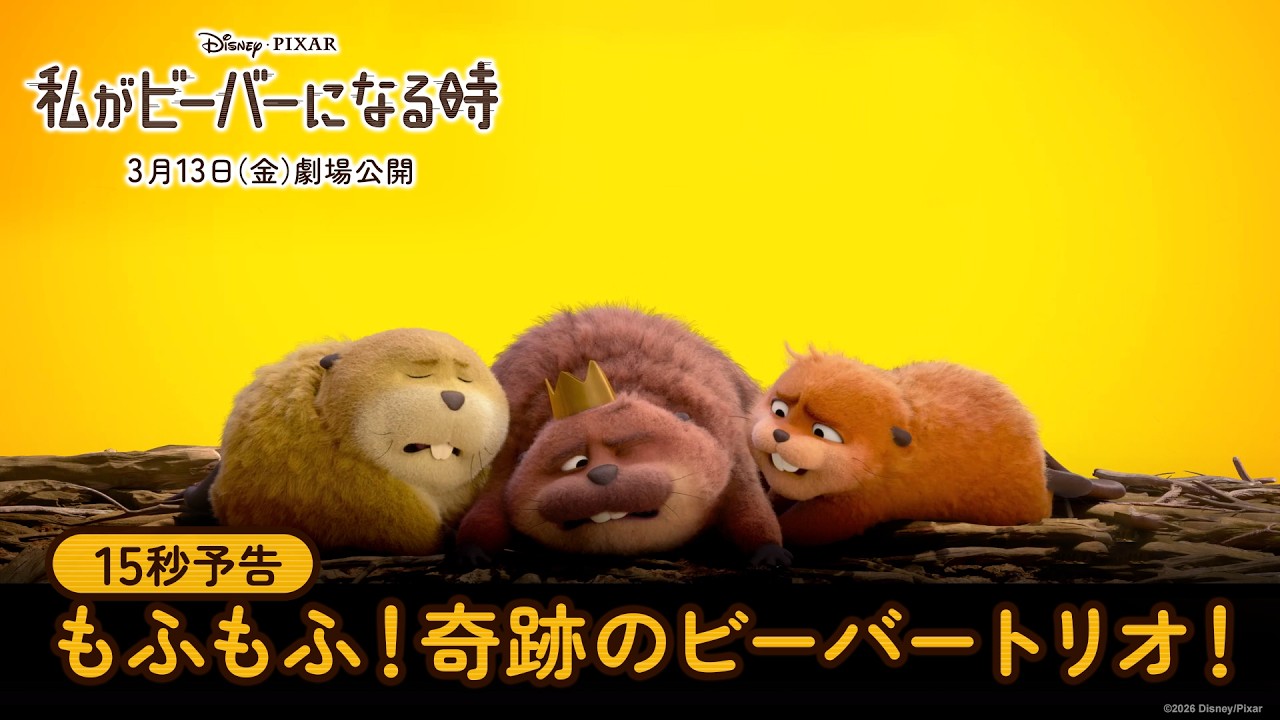 「私がビーバーになる時」15秒予告｜モフモフ！奇跡のビーバートリオ！｜3月13日（金）劇場公開！ –  ディズニー・スタジオ