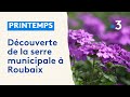 Les serres municipales de Roubaix ouvrent leurs portes