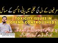 Toxicity issues in chickens  liver kidneys  other organ failure in poultry birds due to toxicity