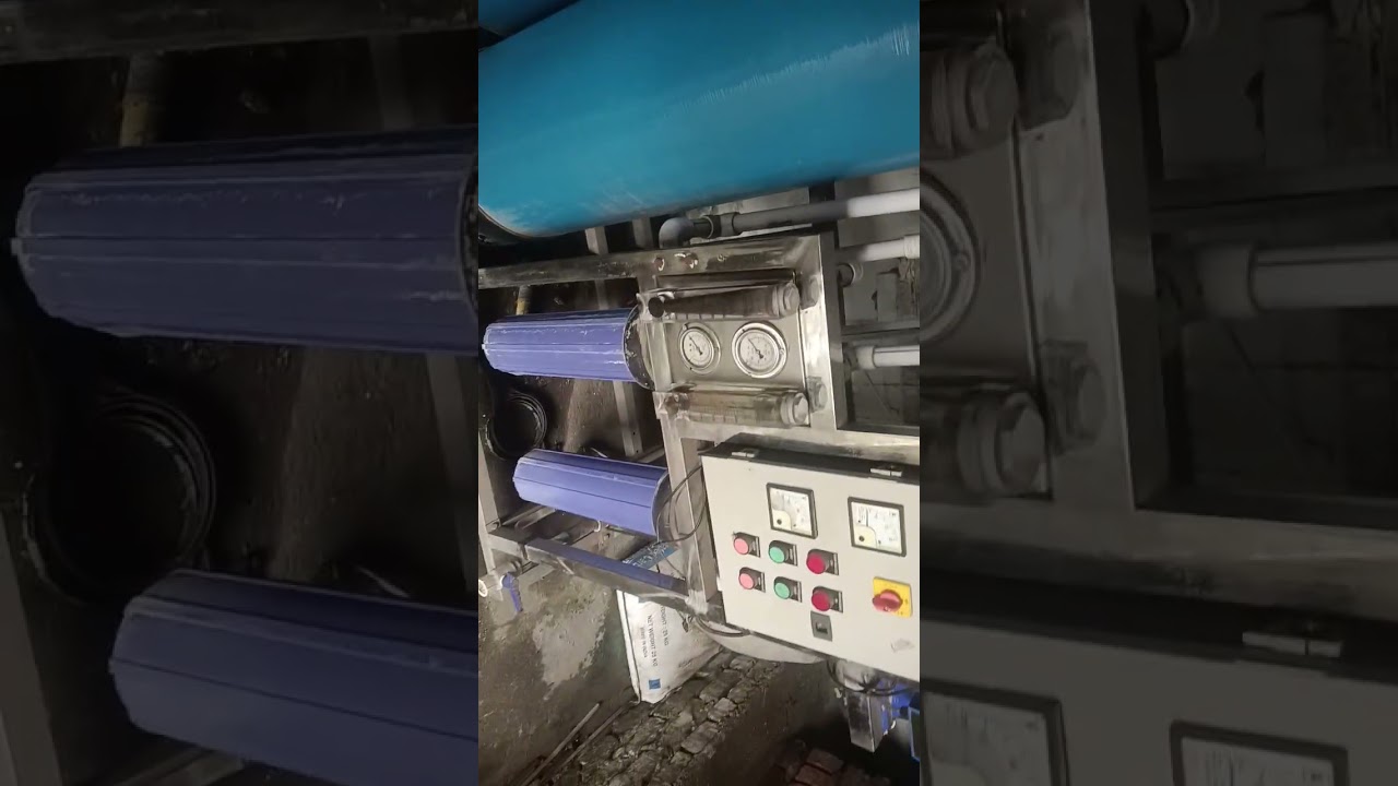 Sathla ka water plant 