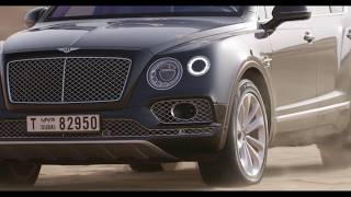 The new BENTLEY Falconry Driving Video Trailer | AutoMotoTV