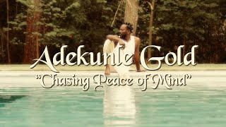 Смотреть клип Adekunle Gold, Ami Faku, Habib Koité - Chasing Peace Of Mind (Official Lyric Video)