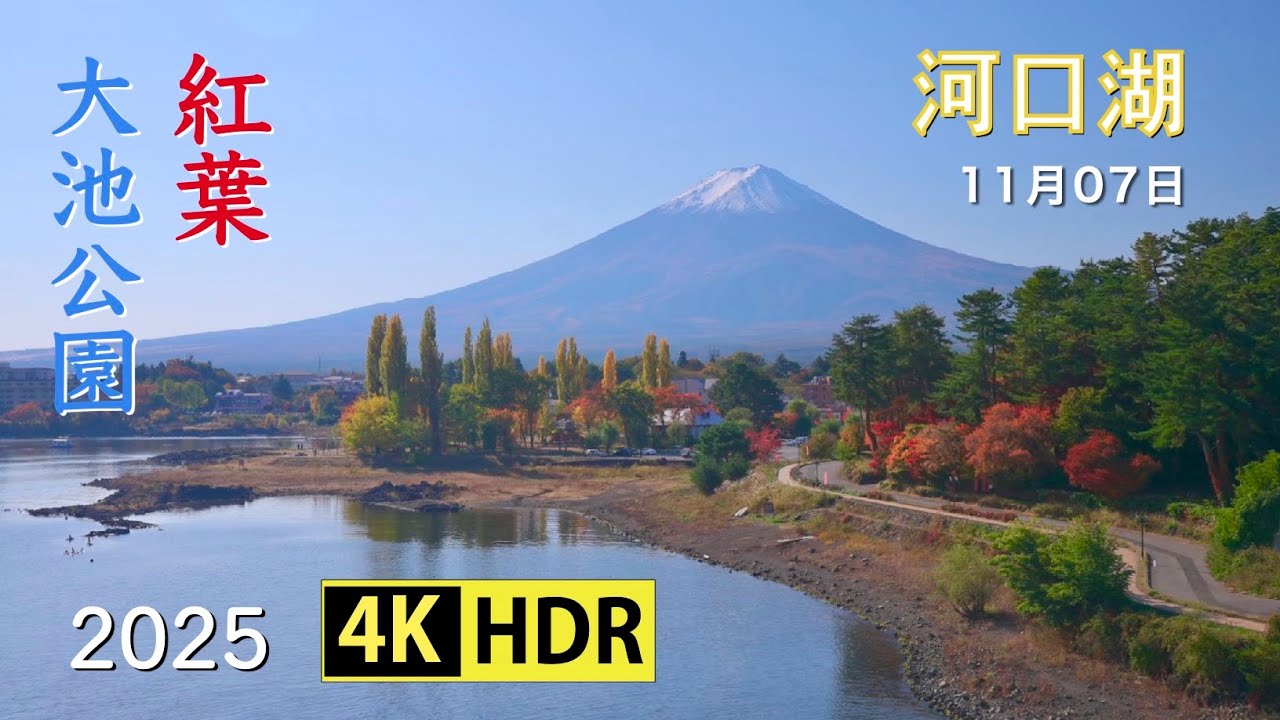 2025 河口湖大池公園の紅葉(4K-HDR) Autumn Colors At Lake Kawaguchi