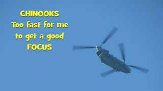 Chinooks 20200506