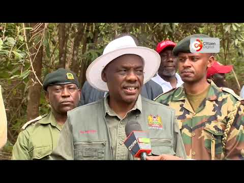 Agriculture PS DR Paul Rono Leads 1,000 Tree Planting at Ngong Forest on Mazingira Day