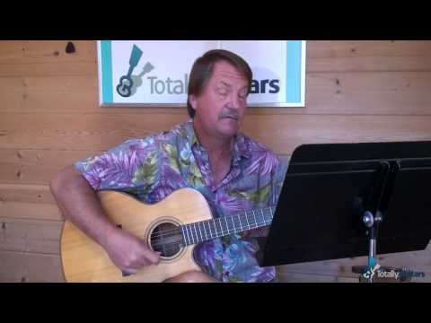 The Dolphins - Guitar Lesson Preview