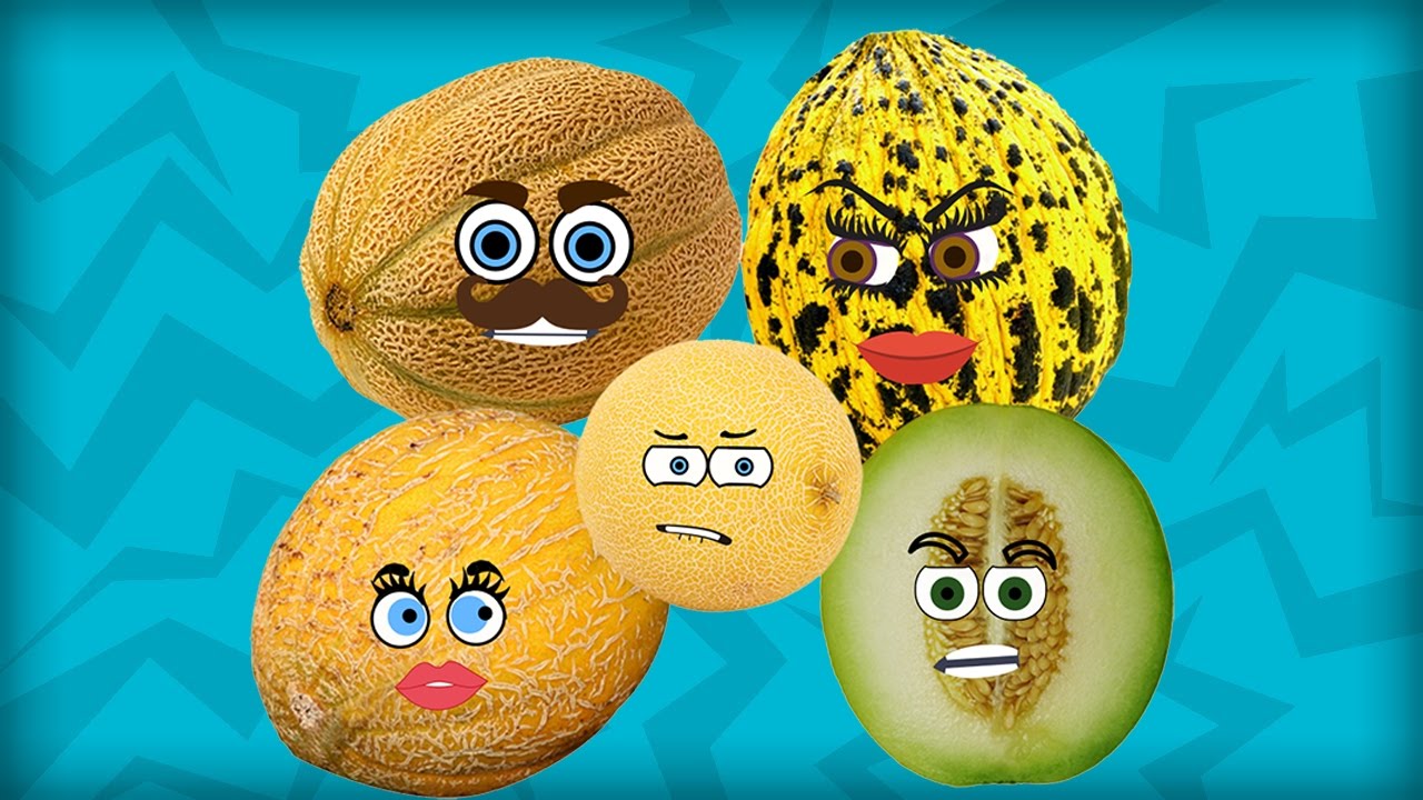 Melon Finger Family Fruits Finger Family Learn Fruits Fruits Song