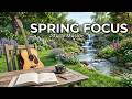Morning Study Music 🌿 Acoustic Guitar for Focus Spring Vibes