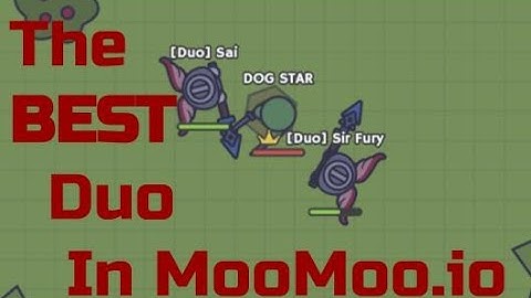 The BEST Duo In Moomoo.io