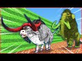 Elephant zombie Mammoth chasing a Mad Bull - Temple Run in maze | Mammoth life