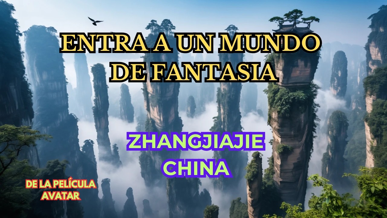 ZHANGJIAJIE, China. El parque forestal más asombroso del MUNDO | Las ...