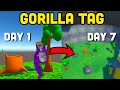 I made a gorilla tag fan game in 1 week
