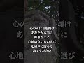 緊急配信 今日中に見て!あなたの人生に光を!天照大神