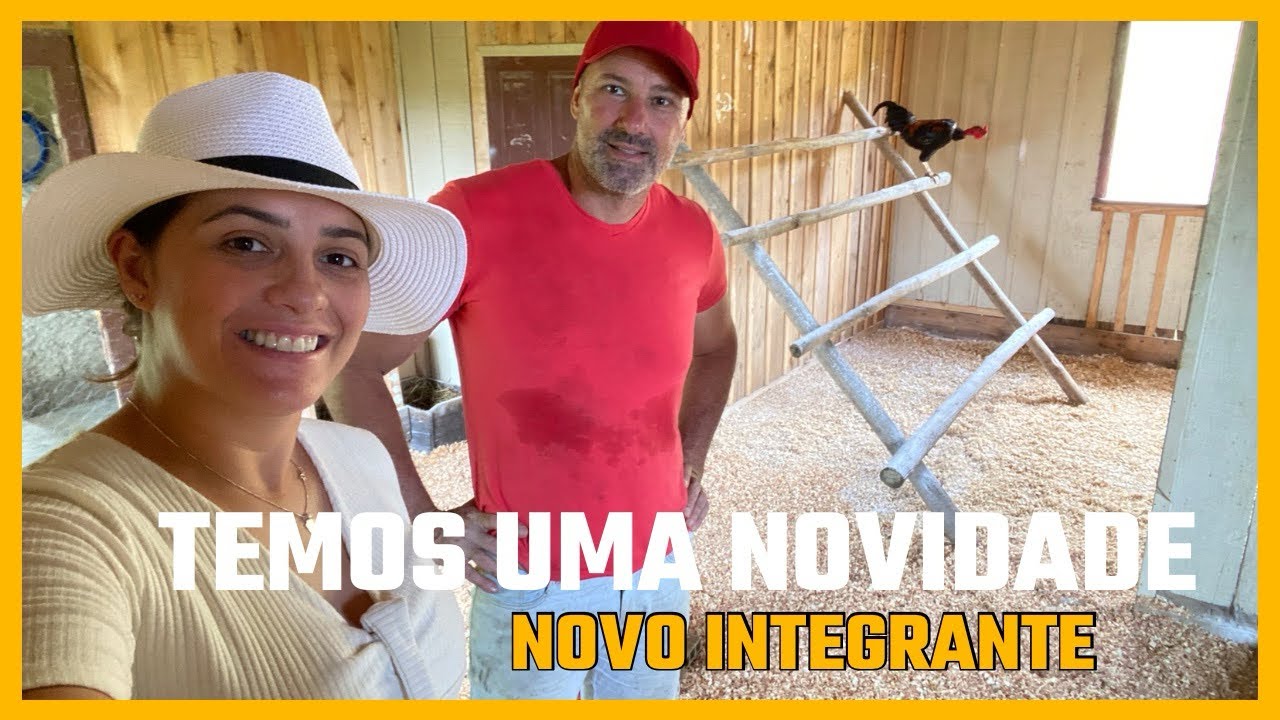 Novidade no galinheiro do sitio 🐓