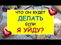 ЧТО ОН БУДЕТ ДЕЛАТЬ, ЕСЛИ Я УЙДУ? Таро Онлайн Расклад Diamond Dream Tarot