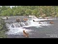 Super epic bearapalooza 17 brown bears at brooks falls  2 hours uninterrupted