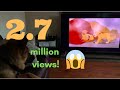 Dog emotional reaction to lion king scene must watch dont cry