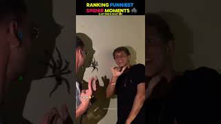 Ranking Top Funniest Spider Moments On The Internet 🤣 | #shorts