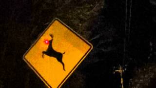 Rudolph Crossing Sign