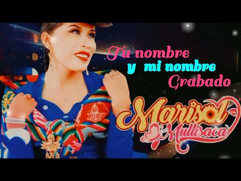 Mix tu nombre y mi nombre grabado / Mario Mullisaca / Primicias 2024