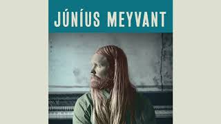 Júníus Meyvant Accordi