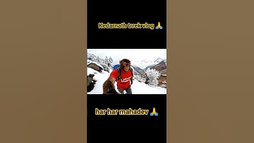 Kedarnath Pahuch Gaya Monkey 🐒🙏 | kedarnath Monkey Vlog |  #shorts #monkeyvlog #veo3