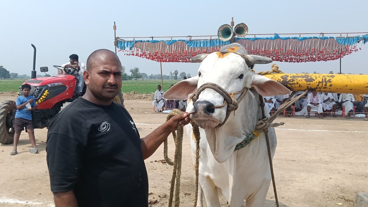 🚩2/3/226 మాచిరెడ్డిపల్లె సేద్యపు విభాగం 3జతమామిళ్ళ సుబ్బారెడ్డి గారు + తప్పేట్ల చిన్న నరసింహులుగారు