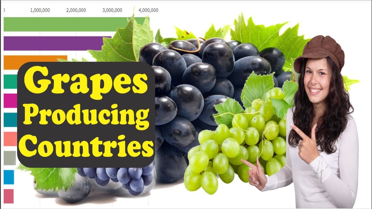 World's Top Grapes Producing Countries 1960 To 2020 YouTube