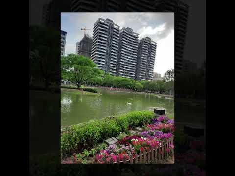 公園之美 ～水圳公園