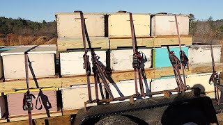 Seth's Twoway Pallets For Bees