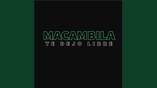 Desilución