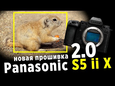 Видео: Panasonic s5 ii x / новая прошивка