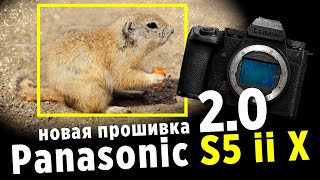 Panasonic s5 ii x / новая прошивка