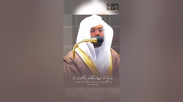 ﴿اللَّهُ نورُ السَّماواتِ وَالأَرضِ﴾ ما تيسر من سورة #النور لفضيلة الشيخ أ.د #ياسر_الدوسري